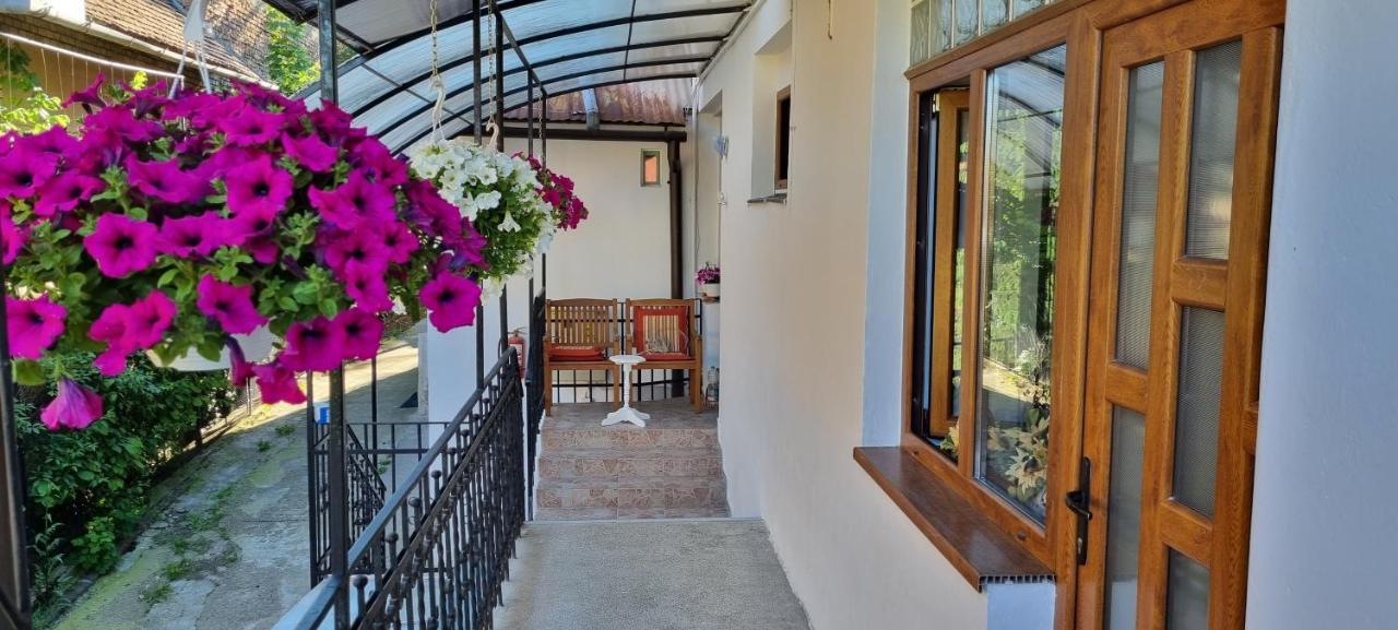 Citadel Rooms Cluj-Napoca Eksteriør billede